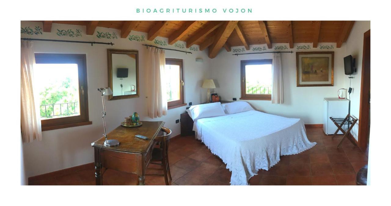 Bio Agriturismo Vojon Villa Ponti sul Mincio Luaran gambar