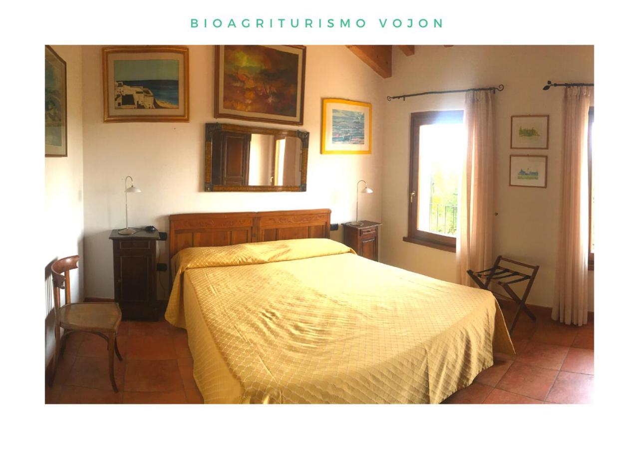 Bio Agriturismo Vojon Villa Ponti sul Mincio Luaran gambar